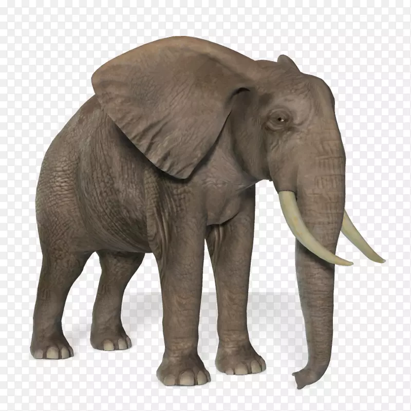 非洲灌木丛象非洲森林象亚洲象-象PNG图片