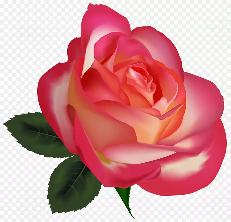 最佳玫瑰插花艺术-粉色玫瑰花PNG