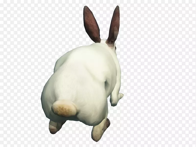 国内兔电脑图标-免费下载兔图标剪贴画