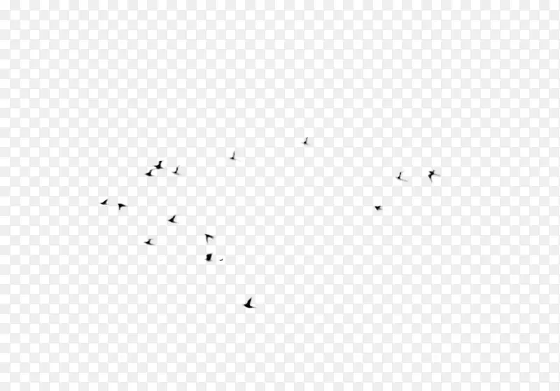 鸟类黑白单色树字体-鸟类