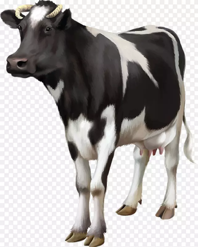 荷斯坦，弗利西亚牛，牛奶，山羊，乳牛，奶牛场-奶牛