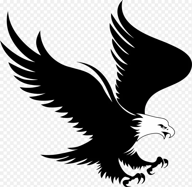 秃鹰徽标-免费-鹰