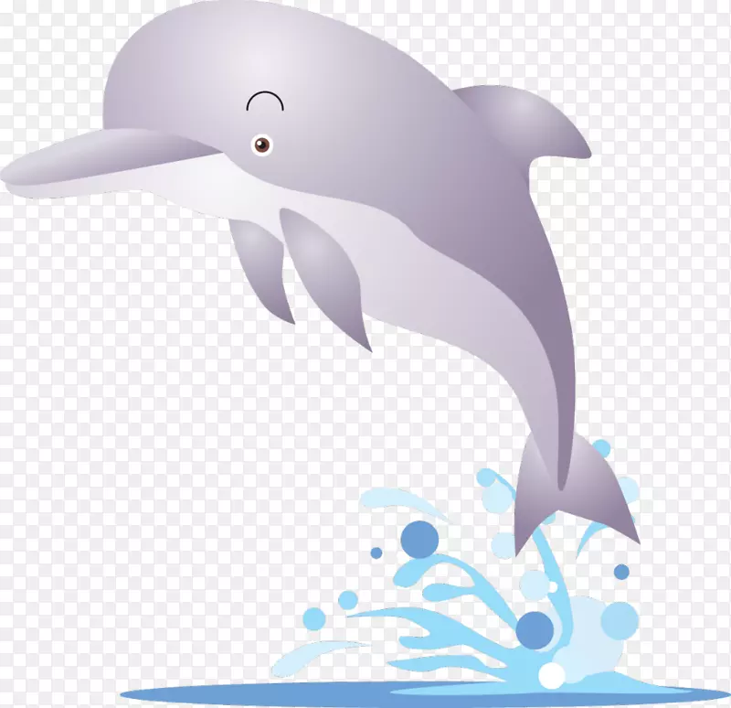 卡拉达格海豚剪贴画-海豚
