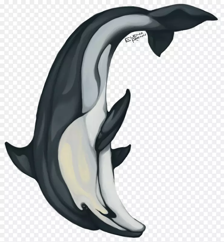 海豚贴纸彩色铅笔甲壳动物海洋海豚