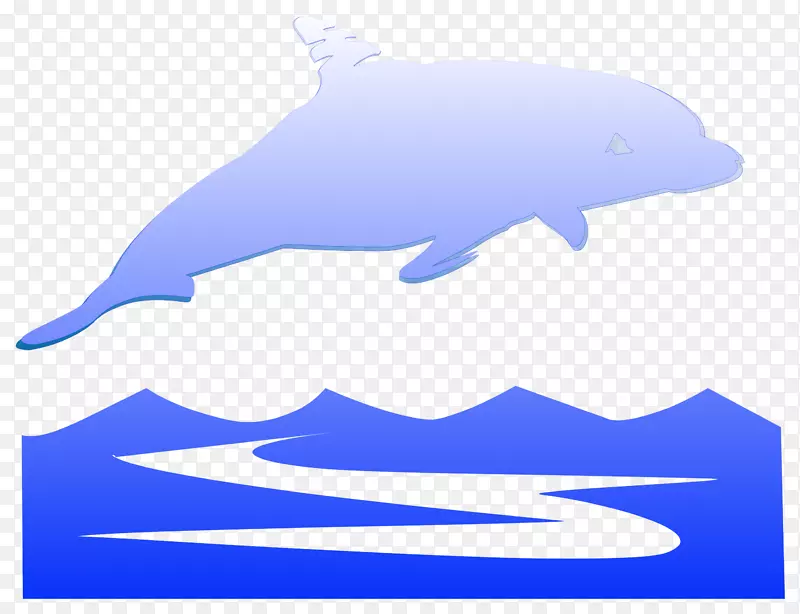普通宽吻海豚图库溪海豚海洋海豚
