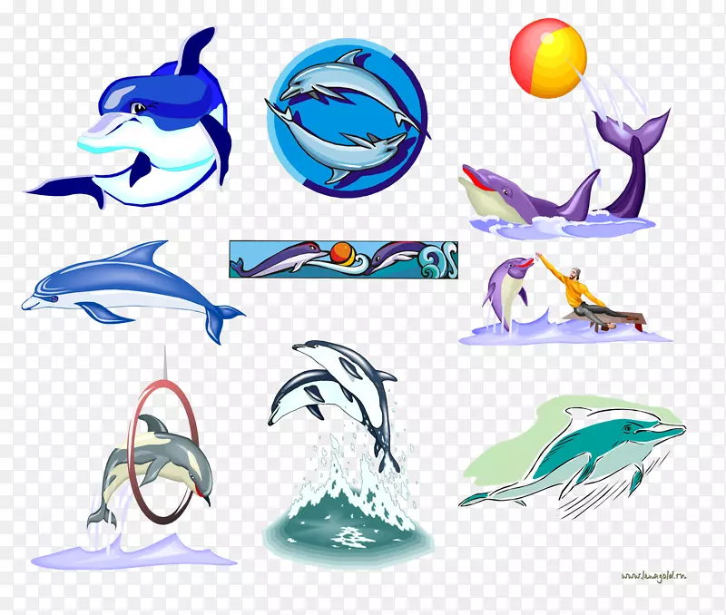 海豚鲸鱼剪贴画-海豚