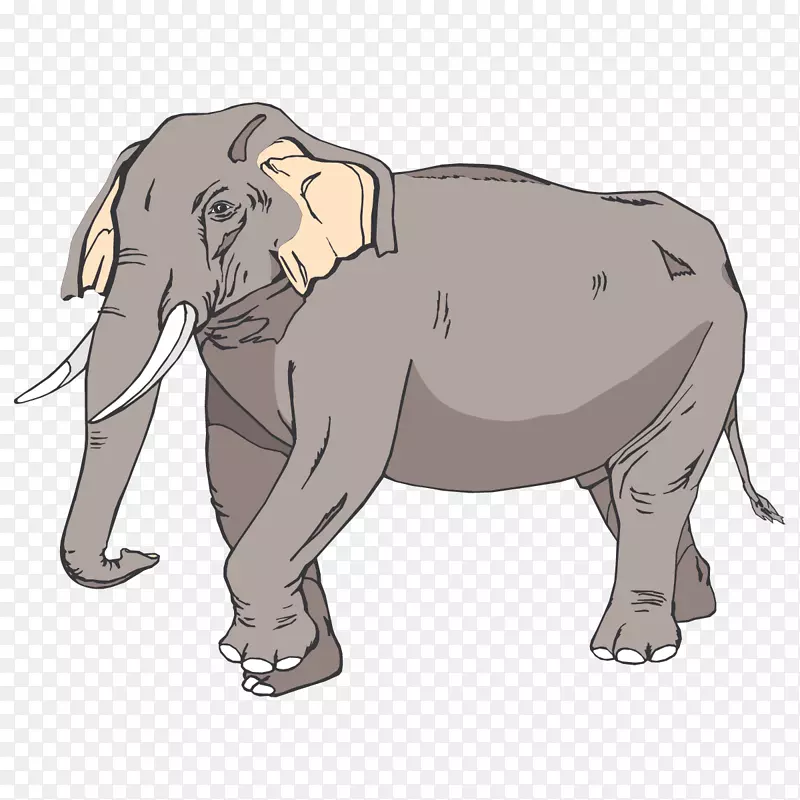 亚洲象剪贴画-大象