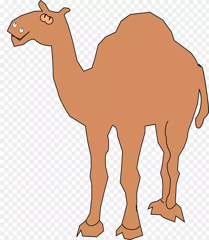 滴水剪贴画-骆驼