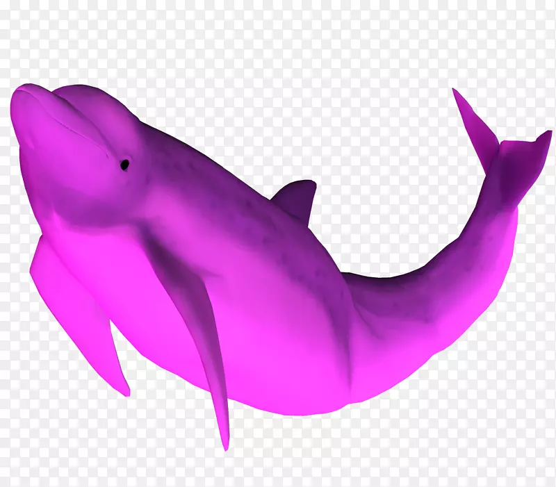 亚马逊河海豚粉红+海豚服装桌面壁纸-海豚