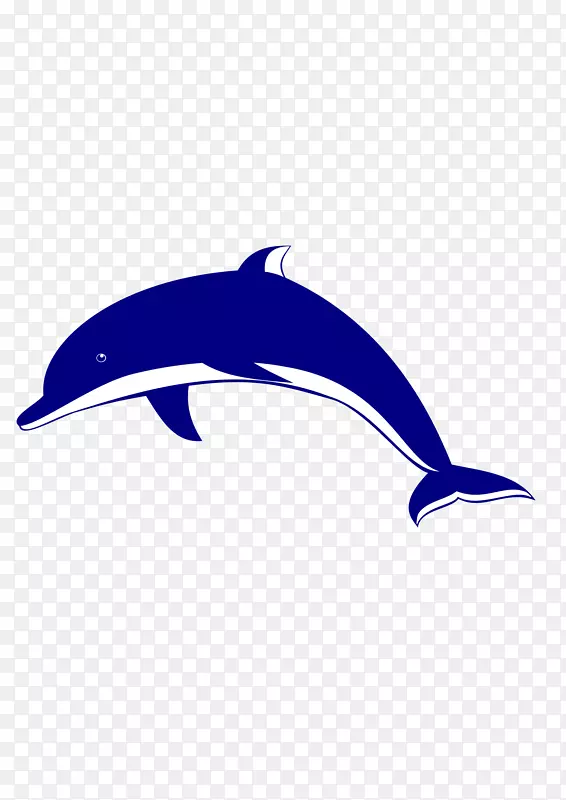 宽吻海豚旋涡海豚剪贴画-海豚