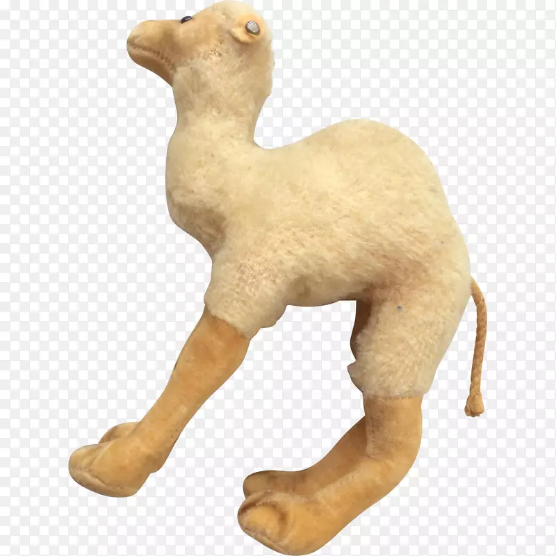 毛绒动物和可爱的玩具牲畜毛皮.骆驼
