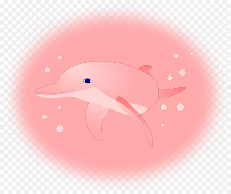 亚马逊河海豚桌面壁纸粉红+海豚服装-海豚