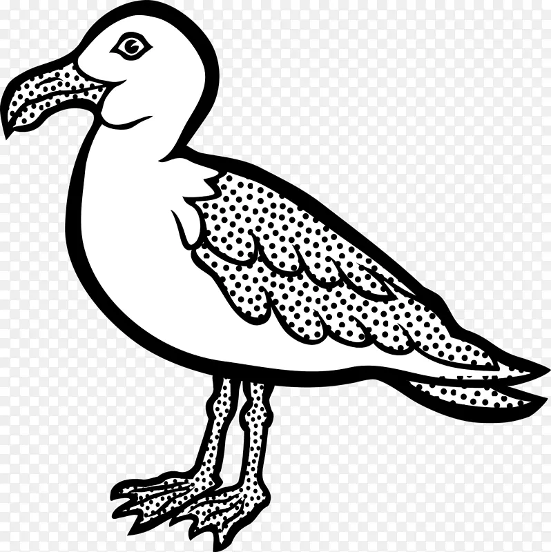 海鸥鸟夹艺术-海鸥