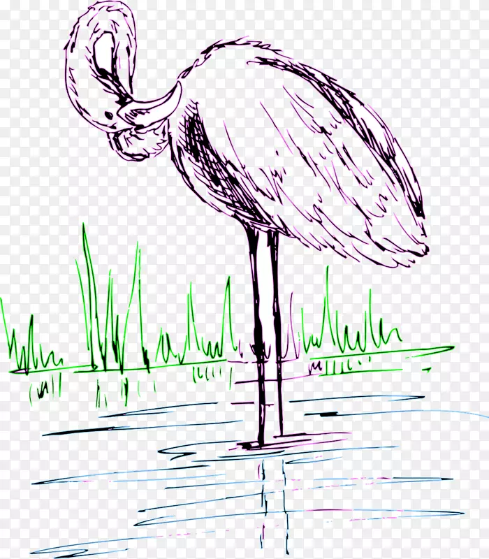 火烈鸟水鸟画夹艺术-火烈鸟