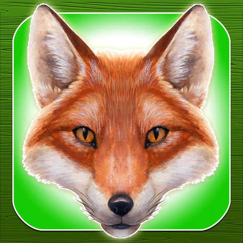 红狐画Zazzle-Fox