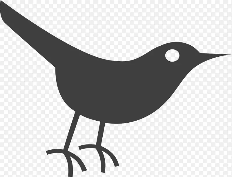 鸟类社交媒体电脑图标剪贴画-乌鸦