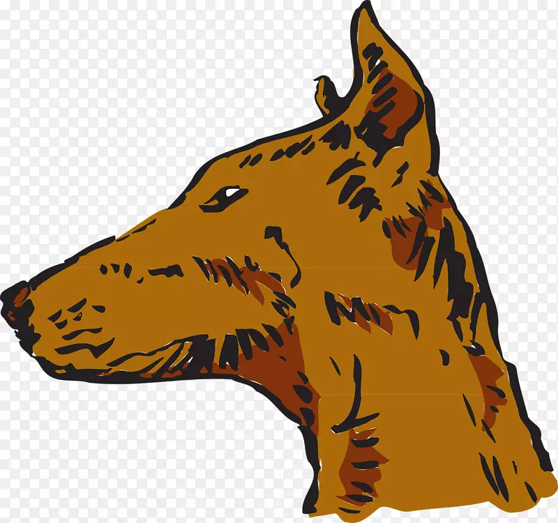拉布拉多猎犬动物宠物剪贴画-狐狸