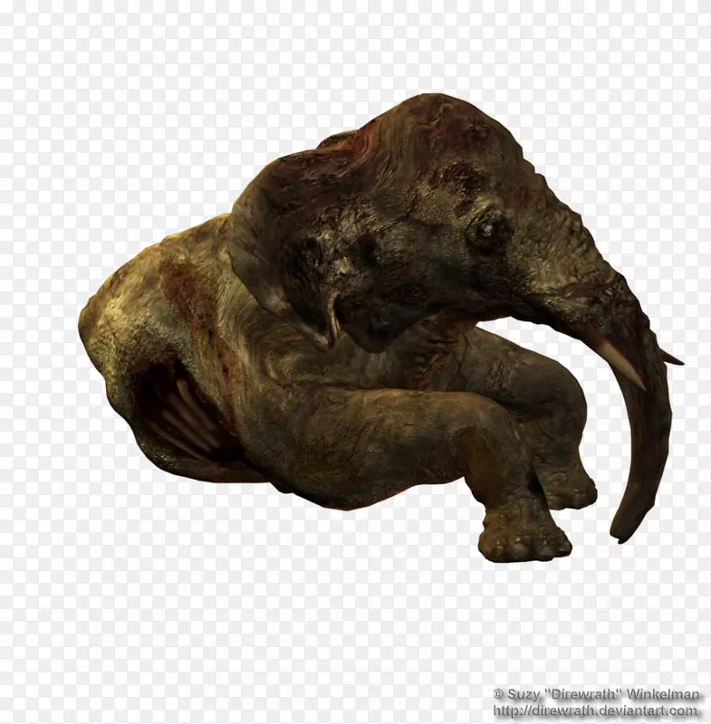 非洲象暴龙动物象