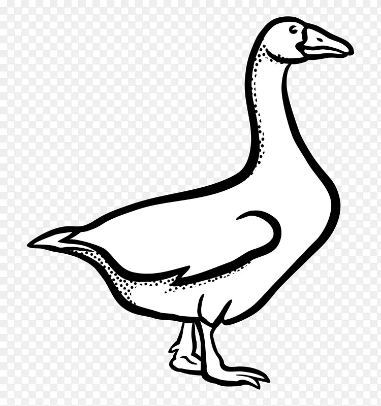 鹅鸭夹艺术-鹅
