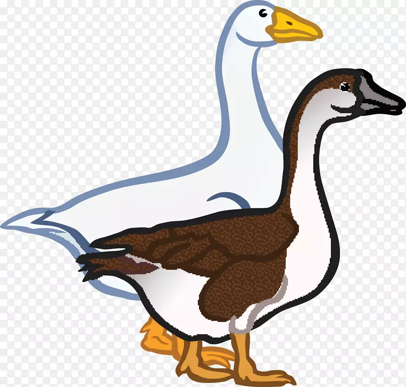 鹅鸭夹艺术-鹅