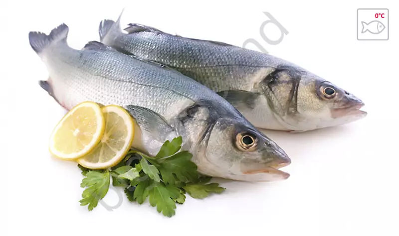 油性鱼类海产品食用鱼