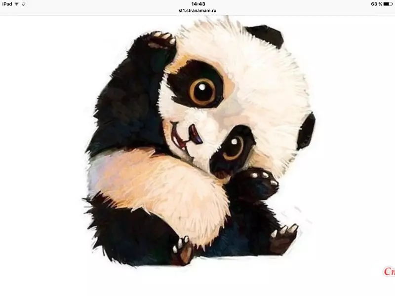 大熊猫熊可爱画红熊猫-熊猫