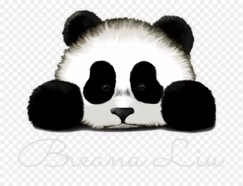 大熊猫悲伤可爱的T恤画-熊猫