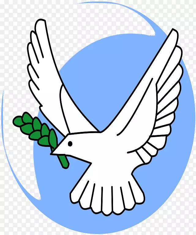 橄榄枝信鸽象征-鸽子与橄榄枝的图片