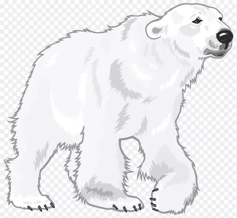 北极熊大比利牛斯地球极地下载-北极熊
