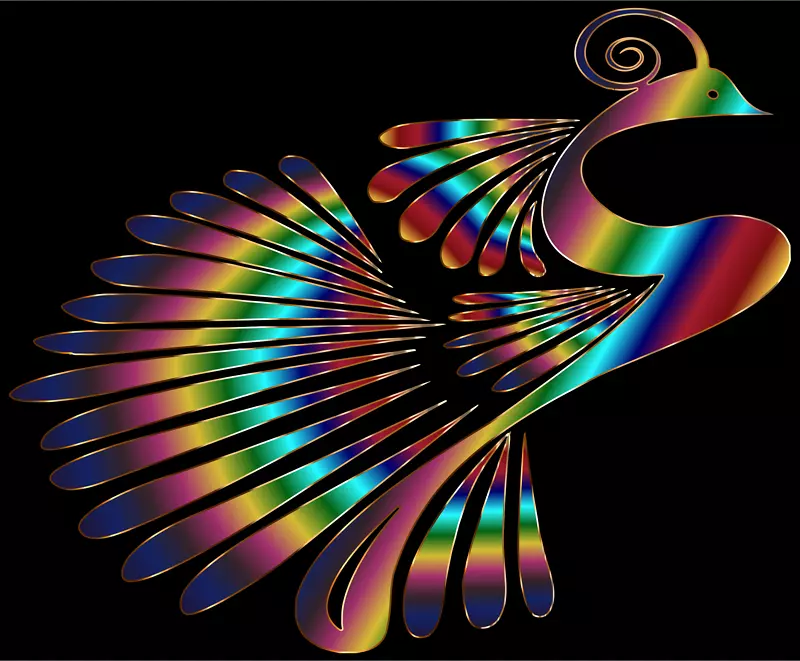 鸟类分形艺术图形设计羽毛孔雀