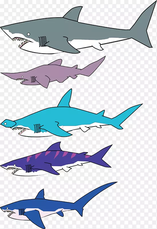 角类动物脱粒鲨鱼虎鲨攻击海豚鲨