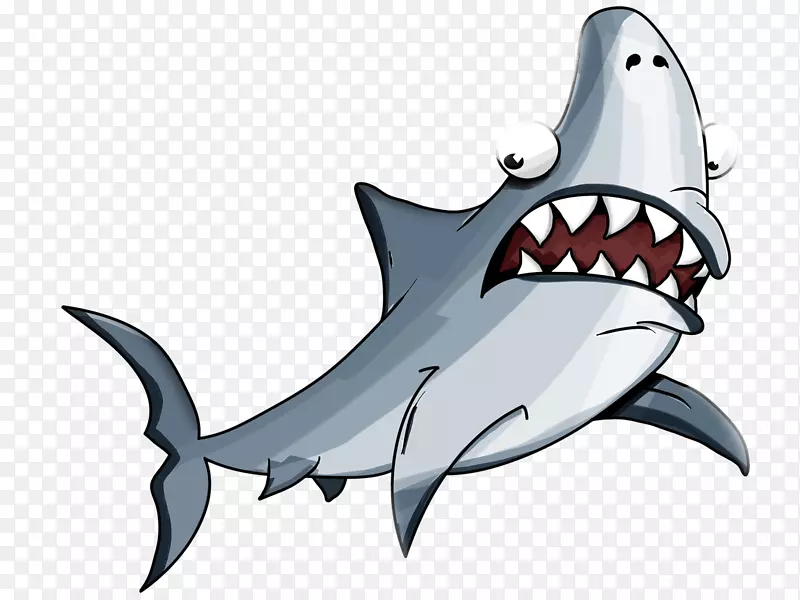 鲨鱼事实-大白鲨、虎鲨、鲸鲨-鲨鱼