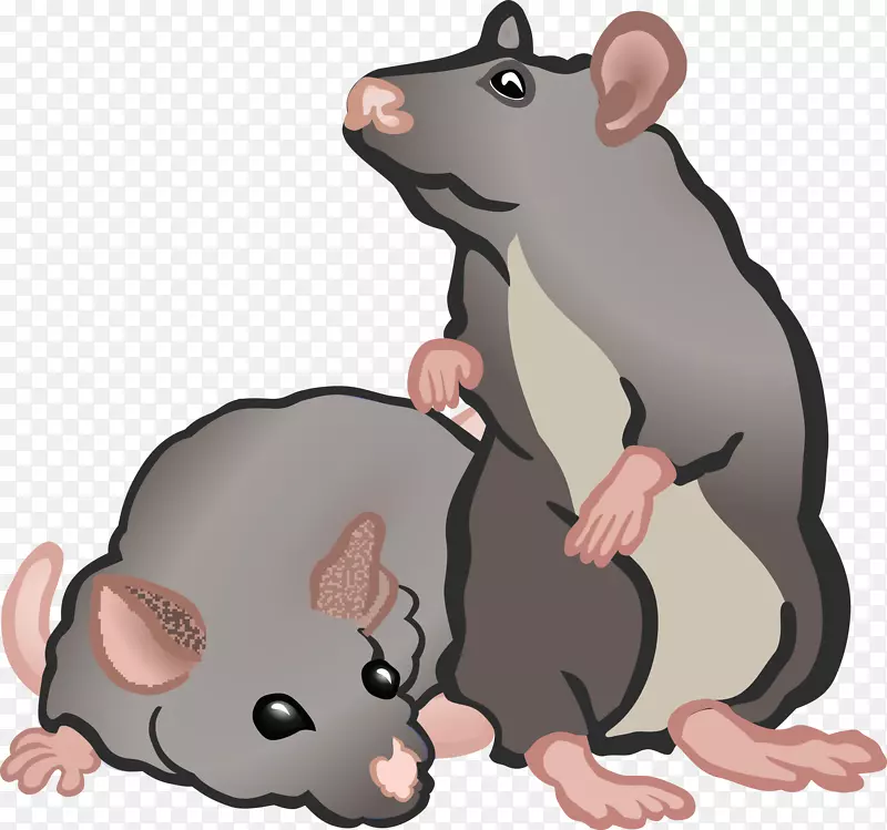 老鼠家老鼠夹艺术-老鼠