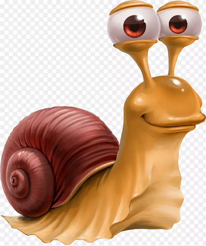 卡拉胶蜗牛-蜗牛