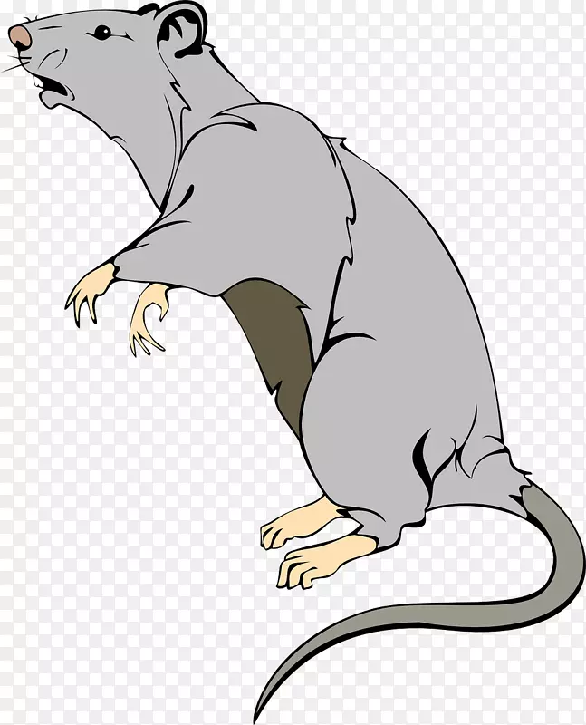 棕色大鼠实验鼠夹艺术-大鼠