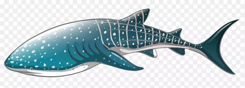 鲸鲨剪贴画-鲨鱼