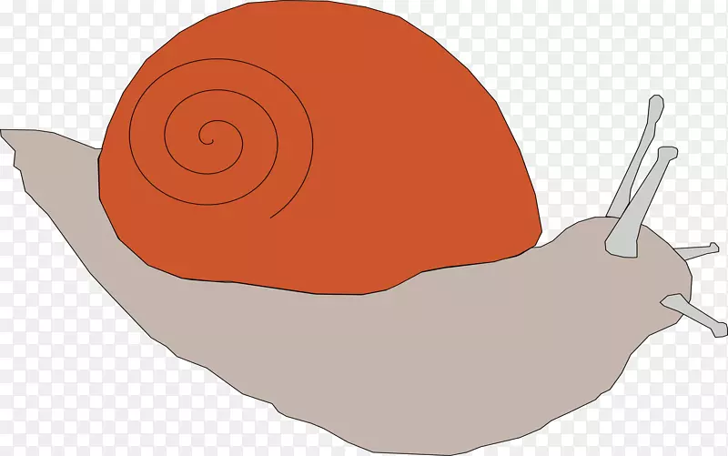 电脑图标蜗牛夹艺术.蜗牛