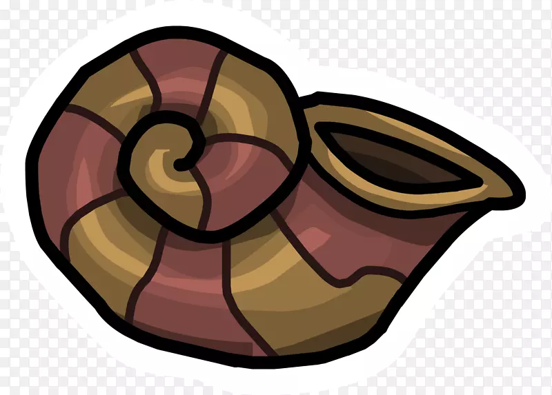 海螺贝壳皇家荷兰贝壳夹艺术-贝壳