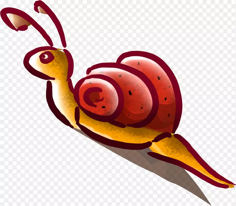 腹足蜗牛卡拉科尔夹艺术-蜗牛
