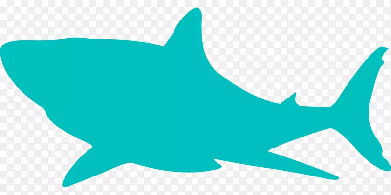 鲨鱼嘴鱼-鲨鱼