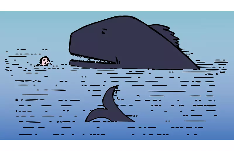 鲸鱼尾鲸