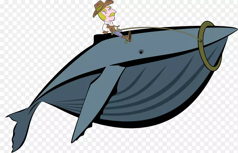 虎鲸牛仔剪贴画鲸鱼