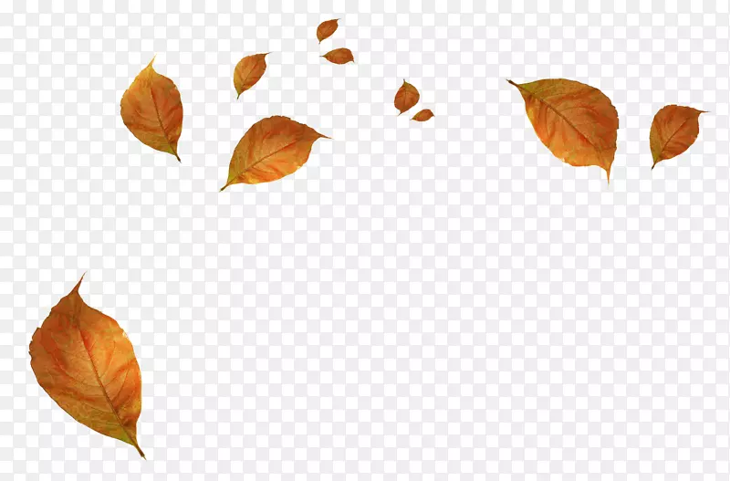 秋叶彩色剪贴画-秋叶