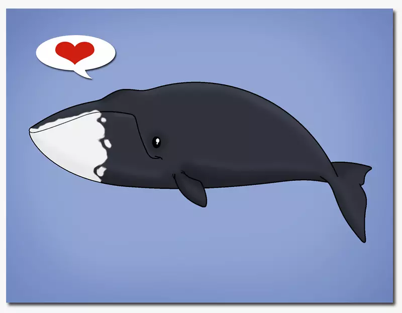 海豚图库溪鲸巨蟒海豚鲸
