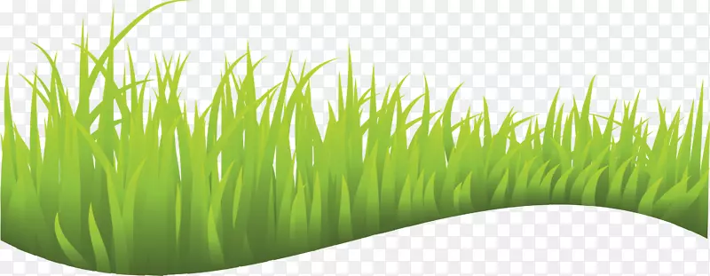 草坪版税-免费剪贴画-草
