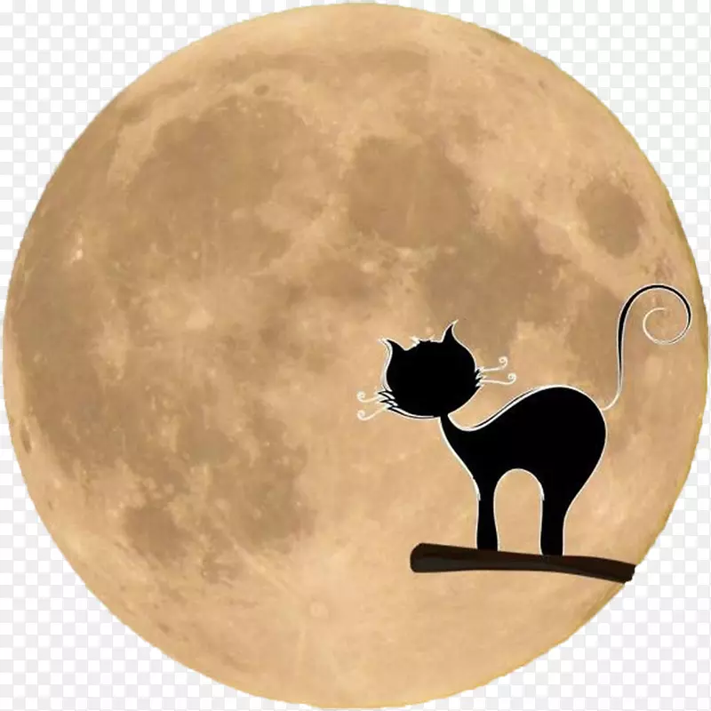 黑猫狗夹艺术-月亮