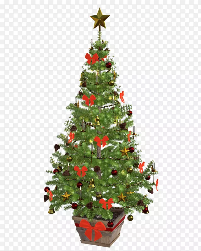 圣诞老人圣诞树装饰-冷杉