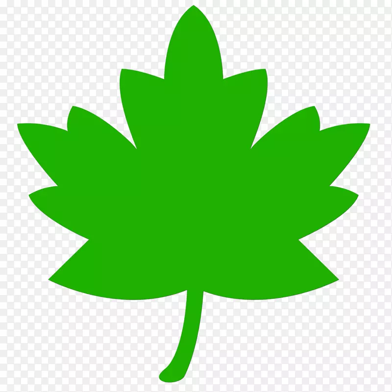 加拿大菜芝士蛋糕食品博客-绿叶
