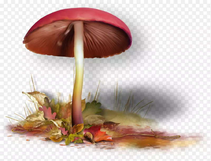 木耳博客剪贴画-蘑菇