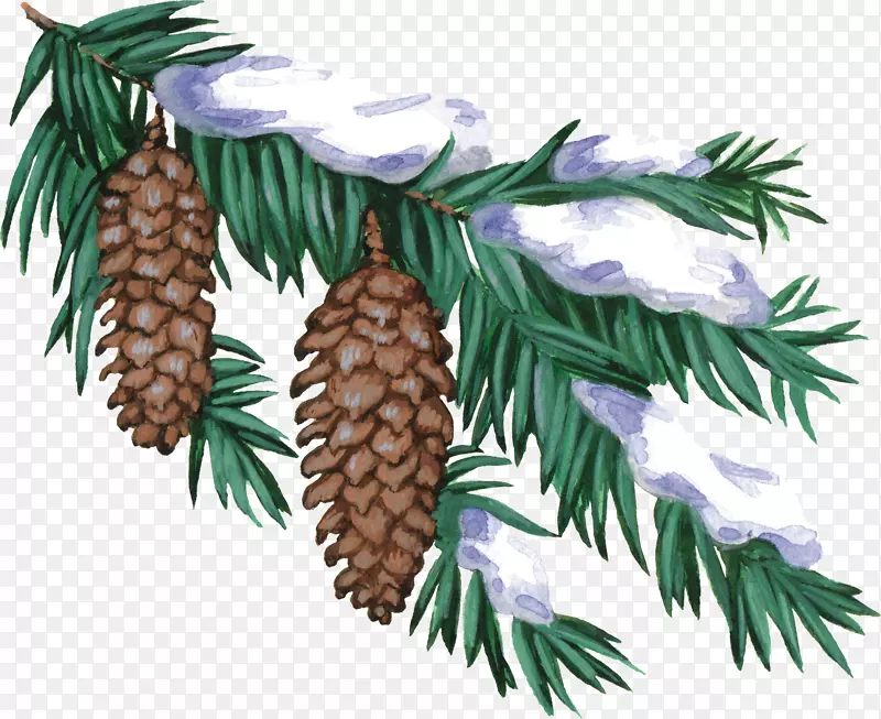 圣诞冬季新年树阿尔波姆剪贴画-松果